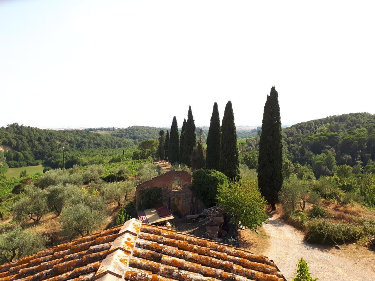 Podere Calcinaia Castelnuovo Berardenga Zewnętrze zdjęcie