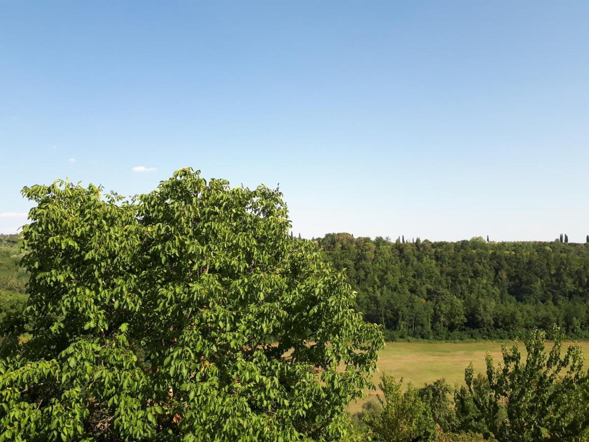 Podere Calcinaia Castelnuovo Berardenga Zewnętrze zdjęcie