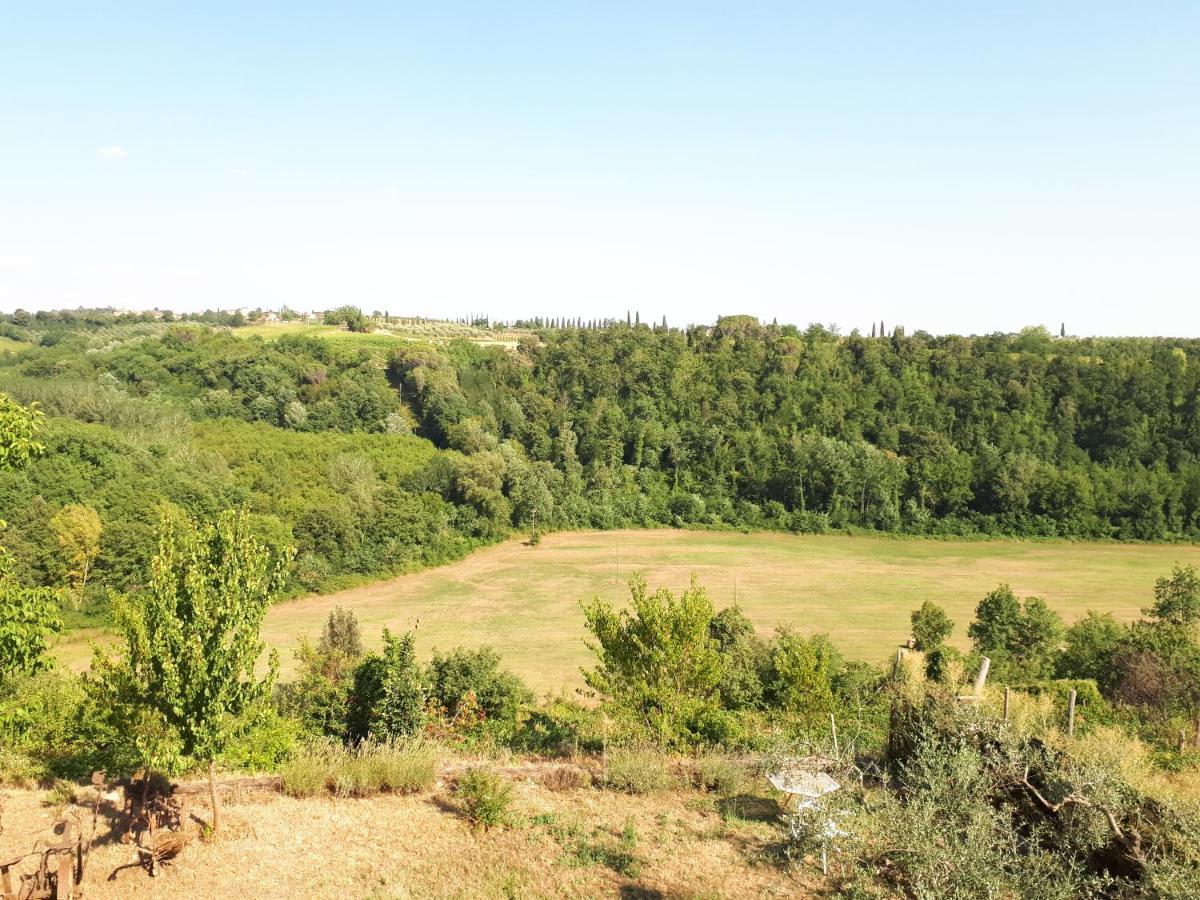 Podere Calcinaia Castelnuovo Berardenga Zewnętrze zdjęcie