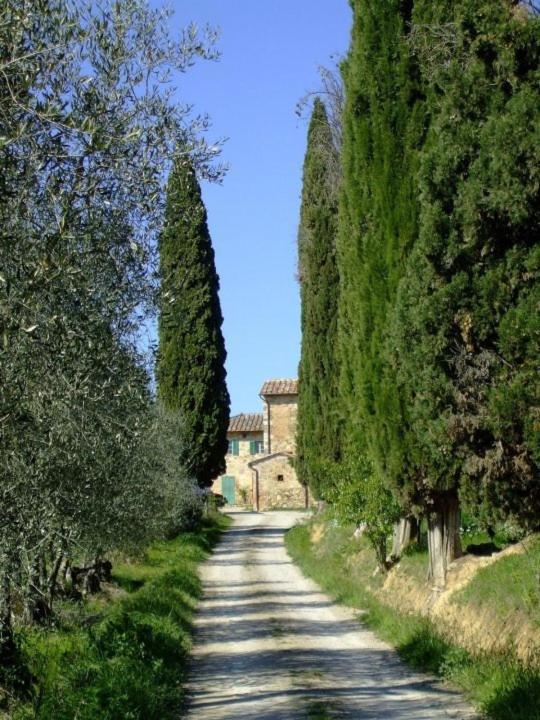 Podere Calcinaia Castelnuovo Berardenga Zewnętrze zdjęcie