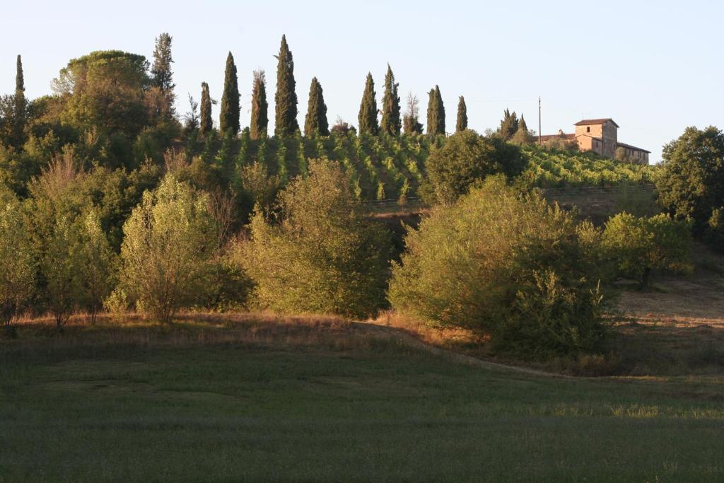 Podere Calcinaia Castelnuovo Berardenga Zewnętrze zdjęcie