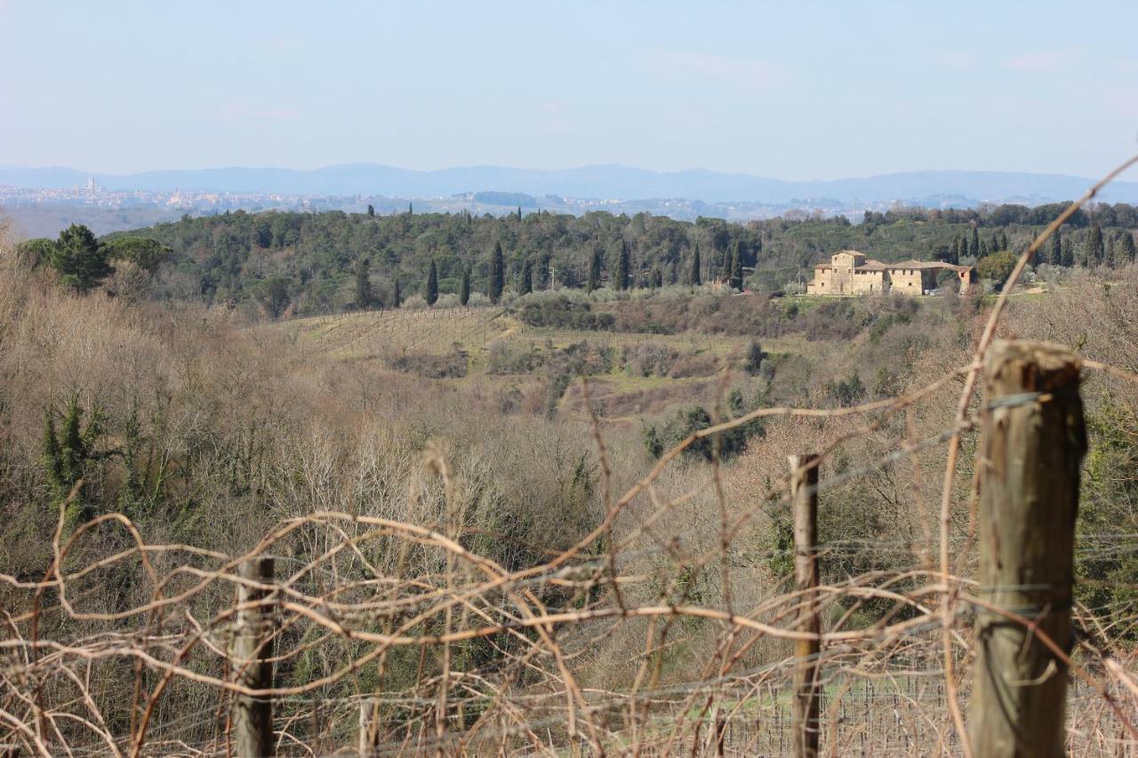 Podere Calcinaia Castelnuovo Berardenga Zewnętrze zdjęcie